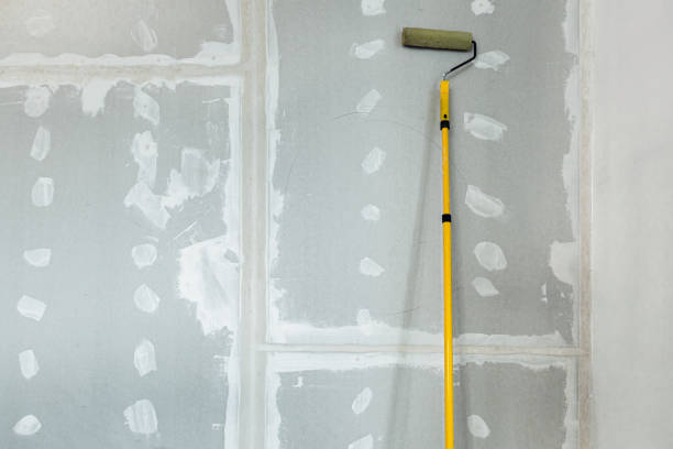 Best Drywall Removal and Disposal  in Belgium, WI